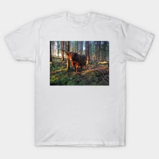 Scottish Highland Cattle Cow 2238 T-Shirt